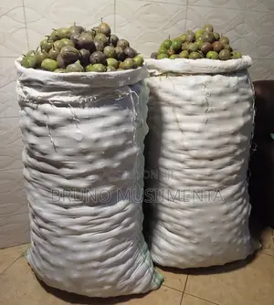 Photo - Passion Fruits (Masaka/Upf12 Variety) - 70 PCS