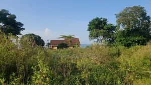 Photo - 20 Acer in Kawuku Entebbe