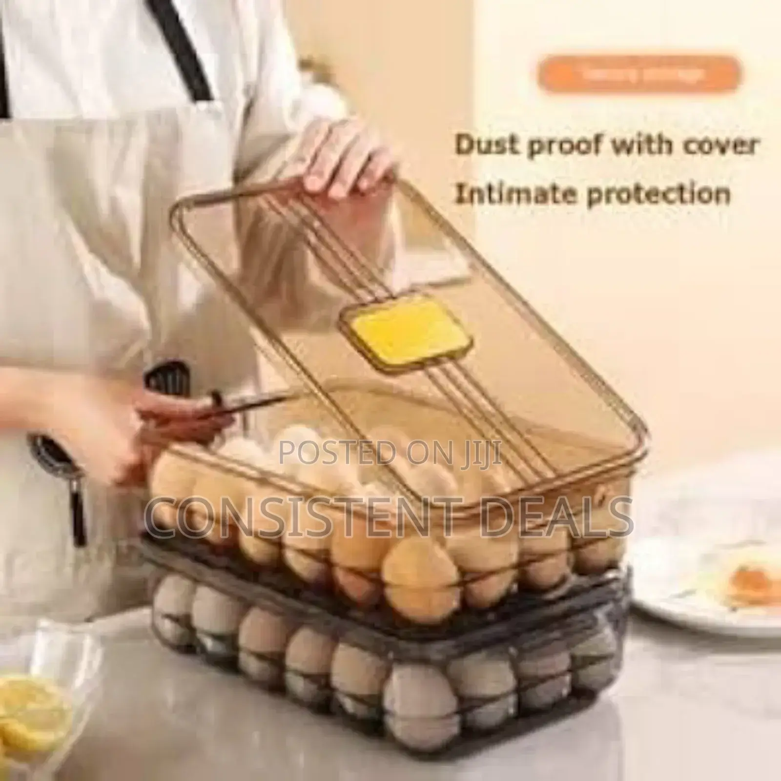 Plastic Egg Storage Box