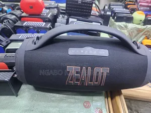 Wireless Speaker Zealot 98