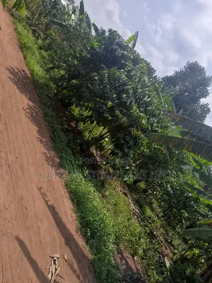 Photo - Plot for Sale 50*100ft