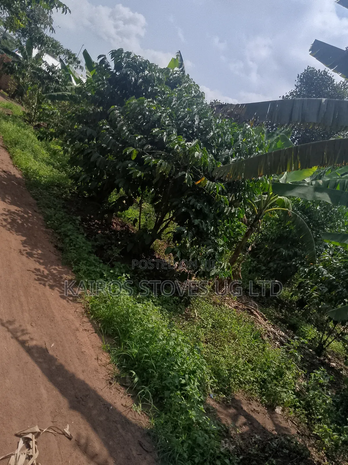 Plot for Sale 50*100ft