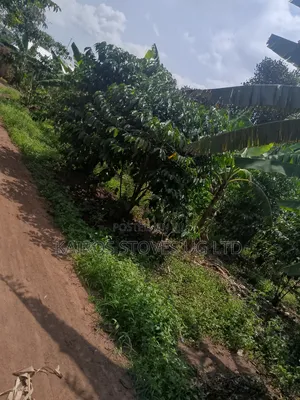 Plot for Sale 50*100ft