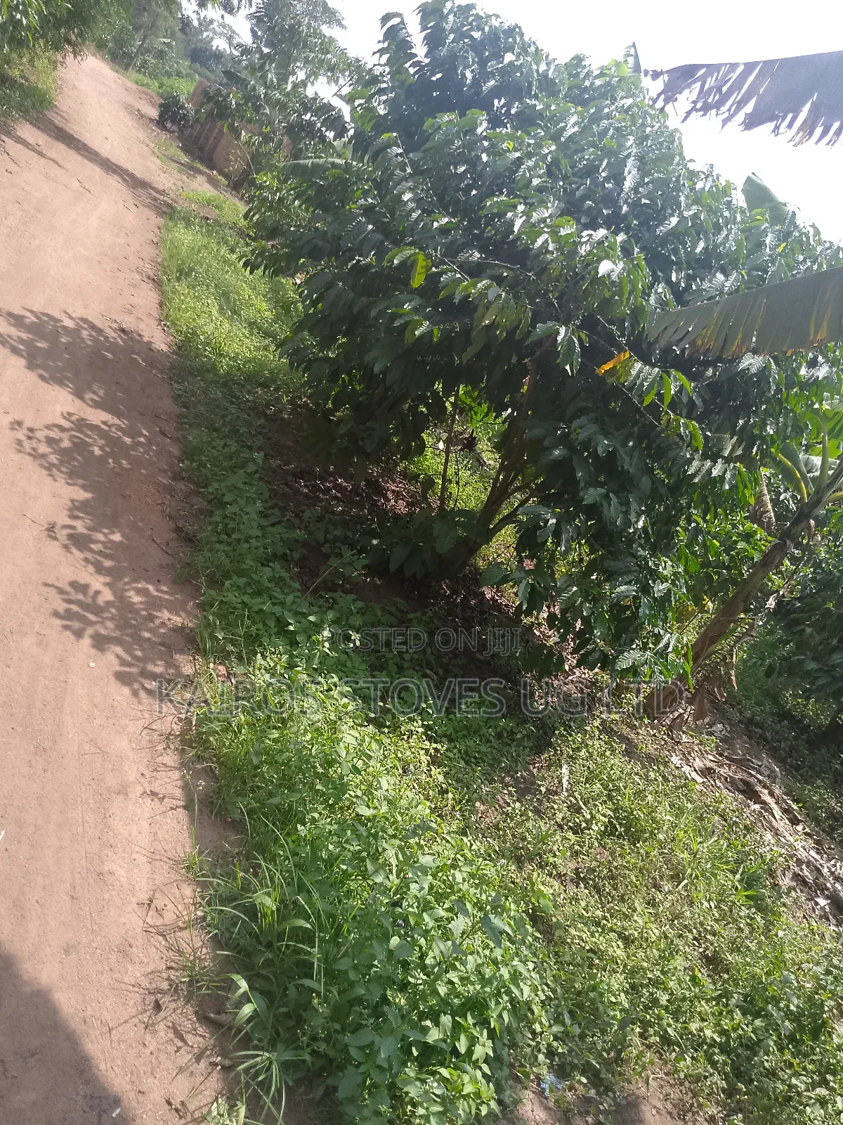Plot for Sale 50*100ft