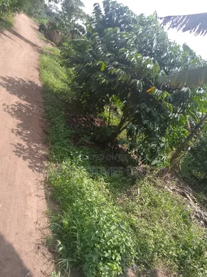 Plot for Sale 50*100ft