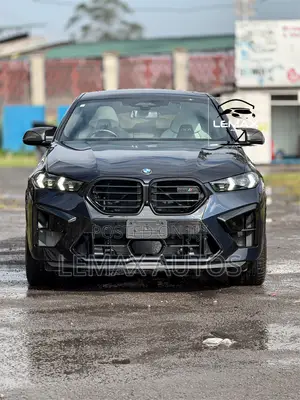 Photo - BMW X6 2024 Blue