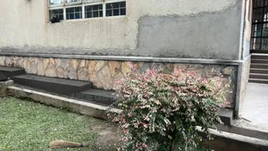 Expert Waterproofing Solutions for Homes Buildings