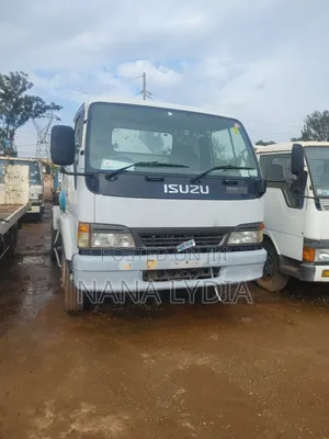 Isuzu Juston Sand Mixer
