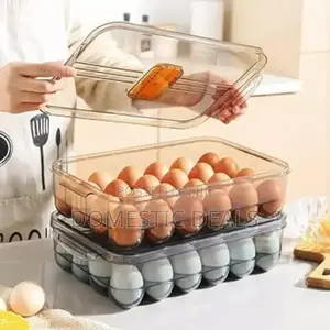 24 Grid Egg Storage Tray