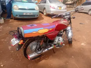 Bajaj Boxer 100 2024 Purple