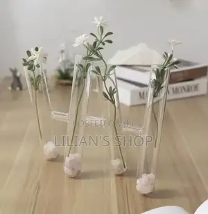 Decorative Clear Test Tube Flower Vase