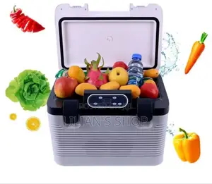 19litres Car and Home Portable Refrigerator