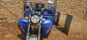Tricycle 2024 Blue