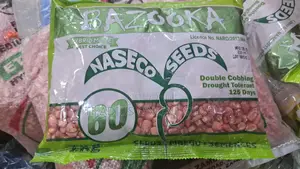 Photo - Bazooka Maize Seeds Grow Fast