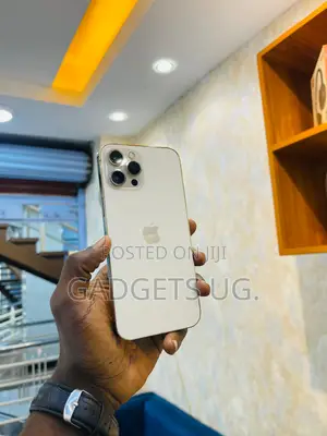 Photo - Apple iPhone 12 Pro Max 256 GB Rose Gold