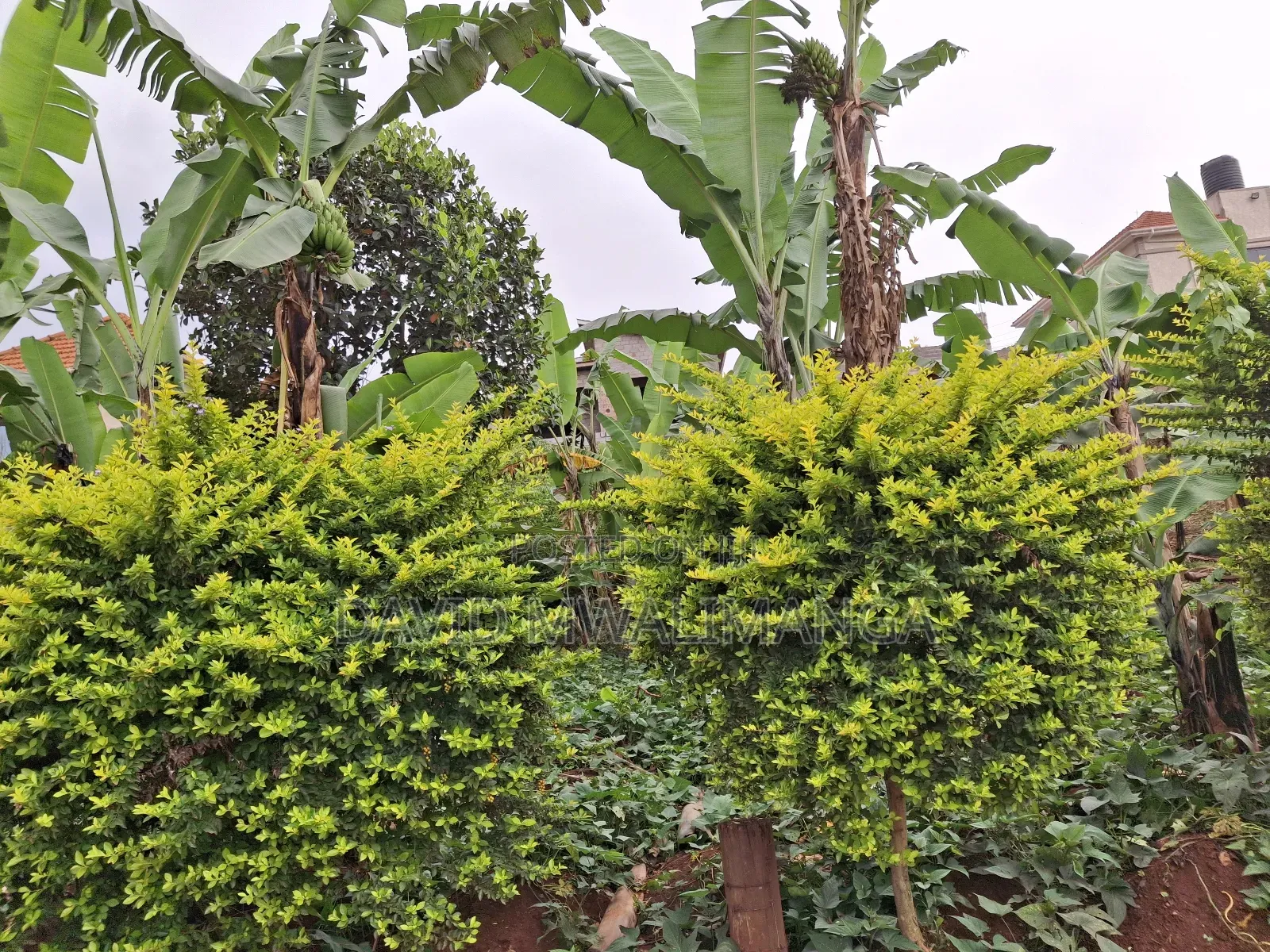 Land at Kitende Kitovu