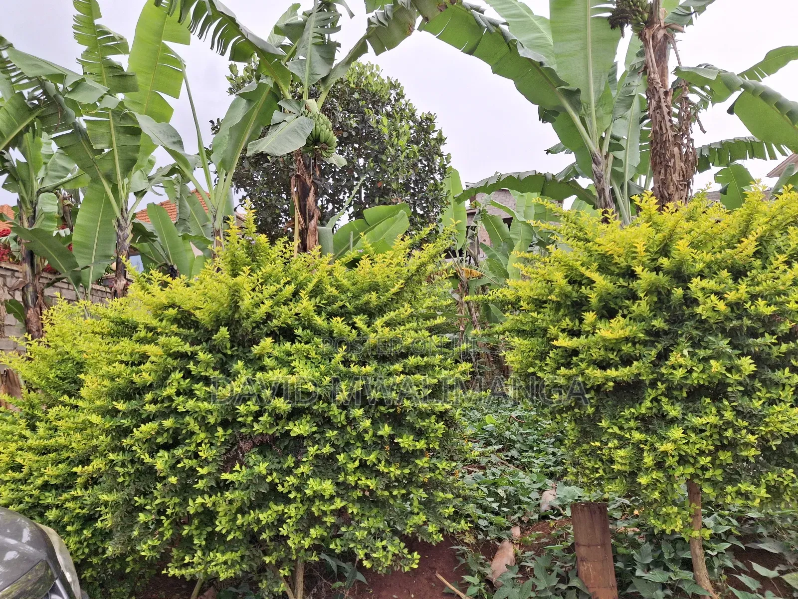Land at Kitende Kitovu