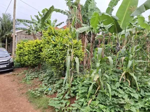 Land at Kitende Kitovu
