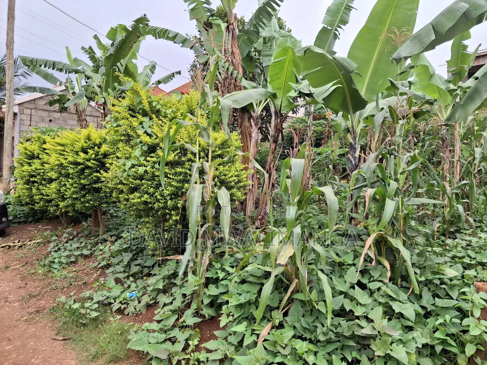 Land at Kitende Kitovu