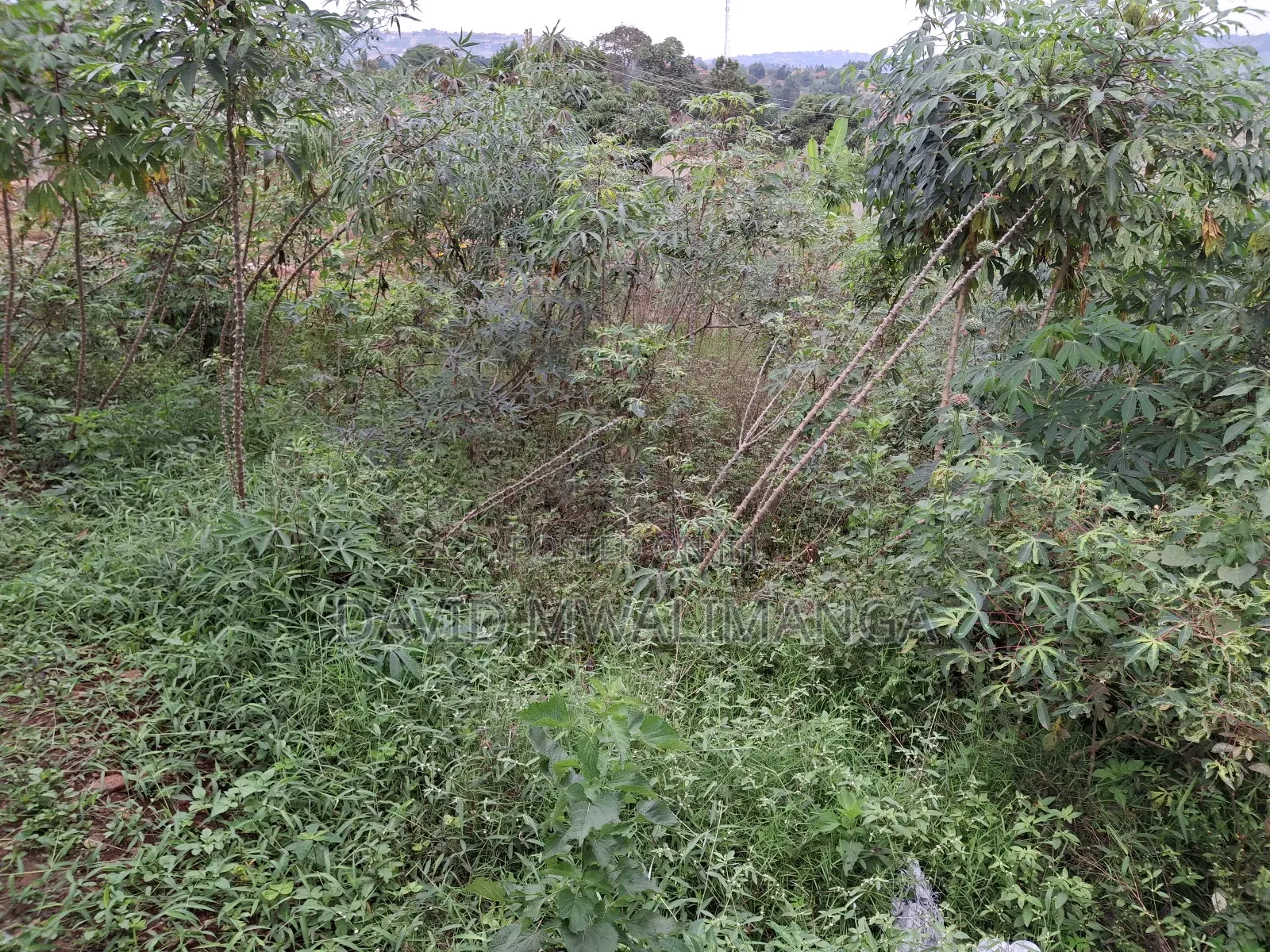 Land at Kitende Kitovu