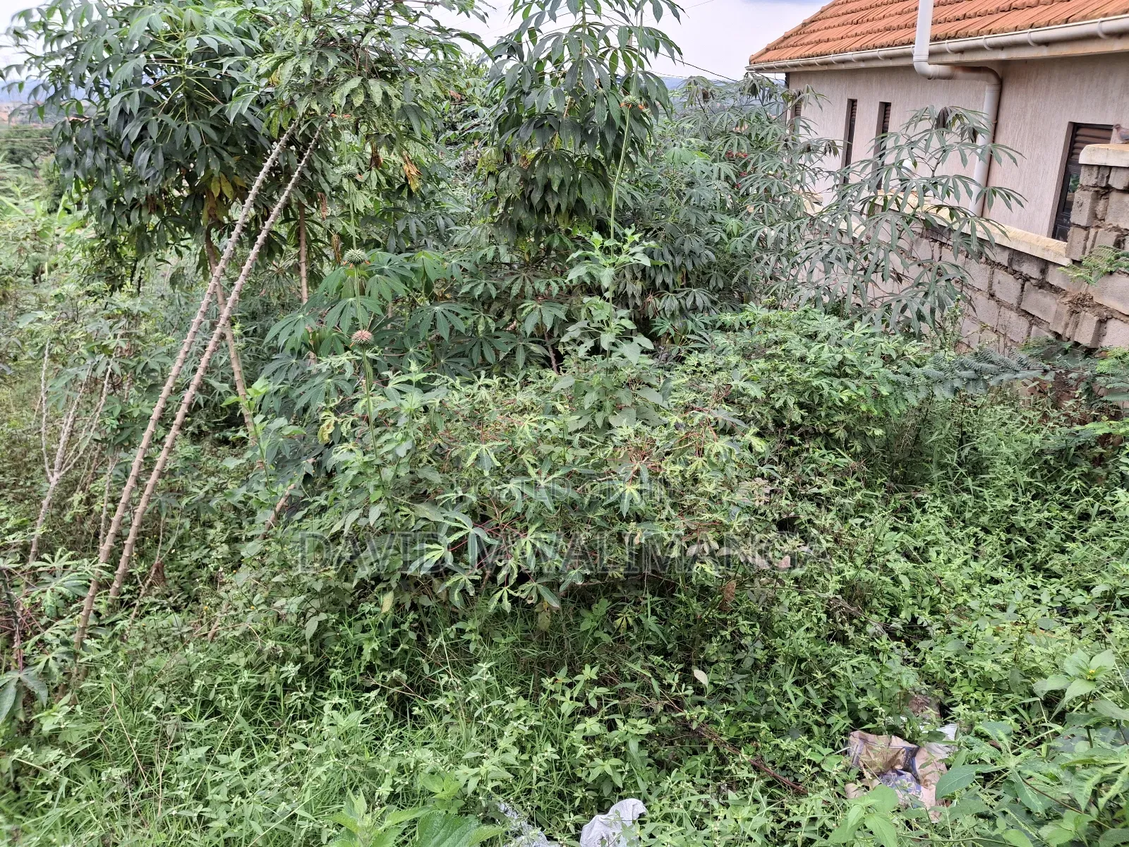 Land at Kitende Kitovu
