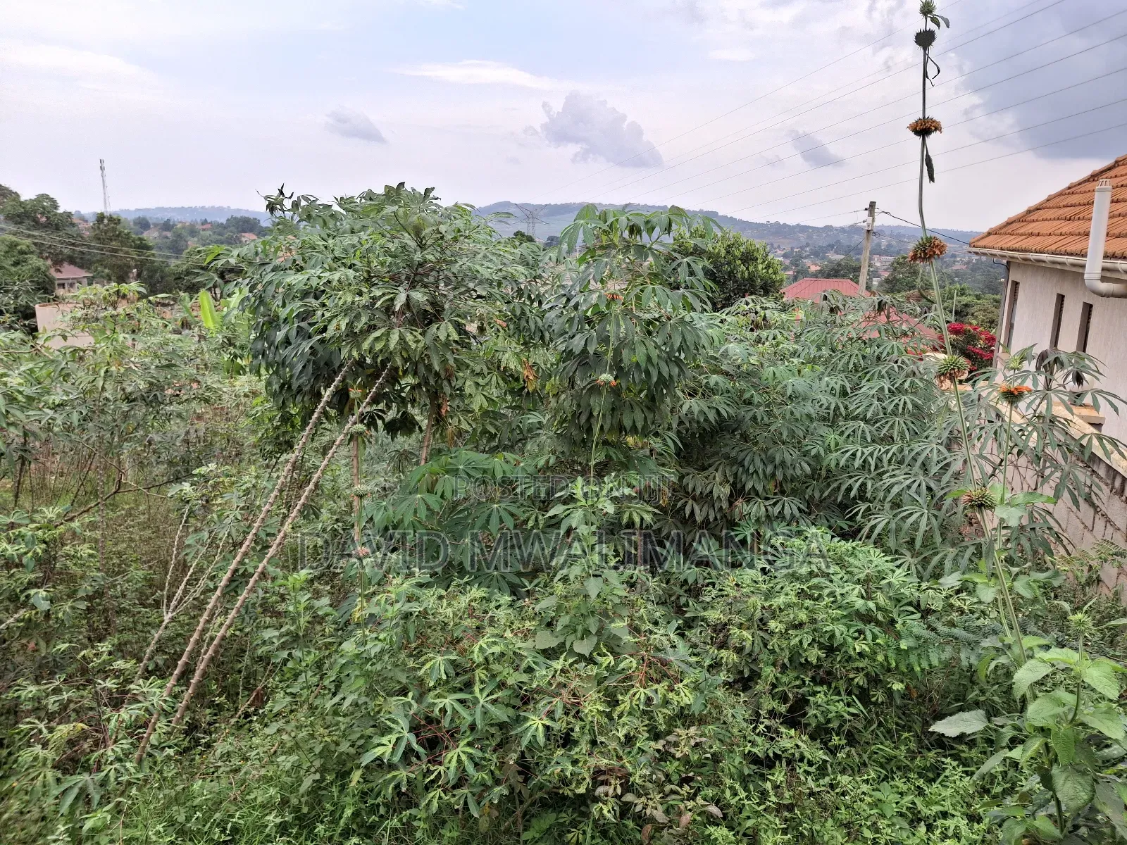 Land at Kitende Kitovu