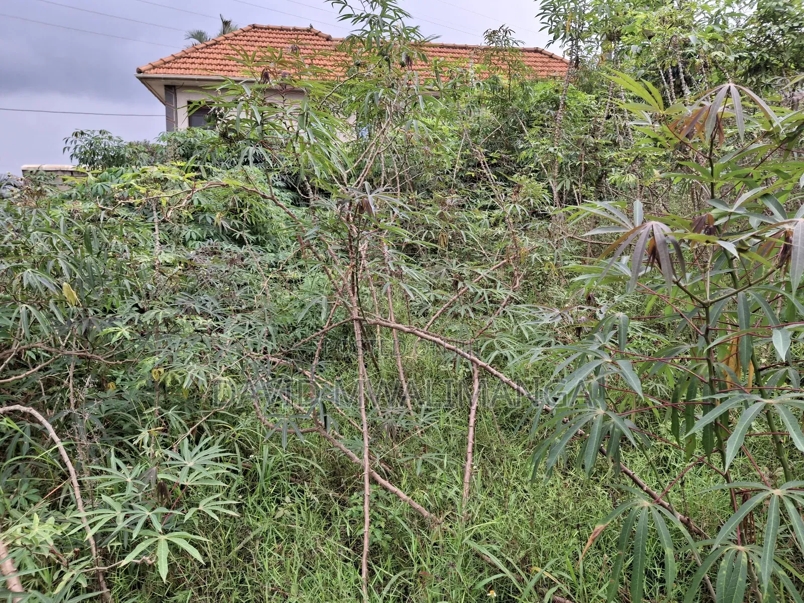 Land at Kitende Kitovu