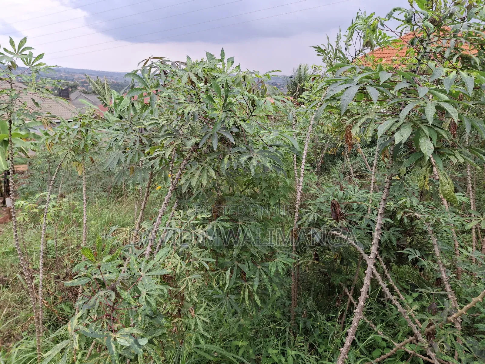 Land at Kitende Kitovu