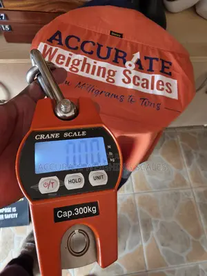 Photo - Singapore Crane Scale