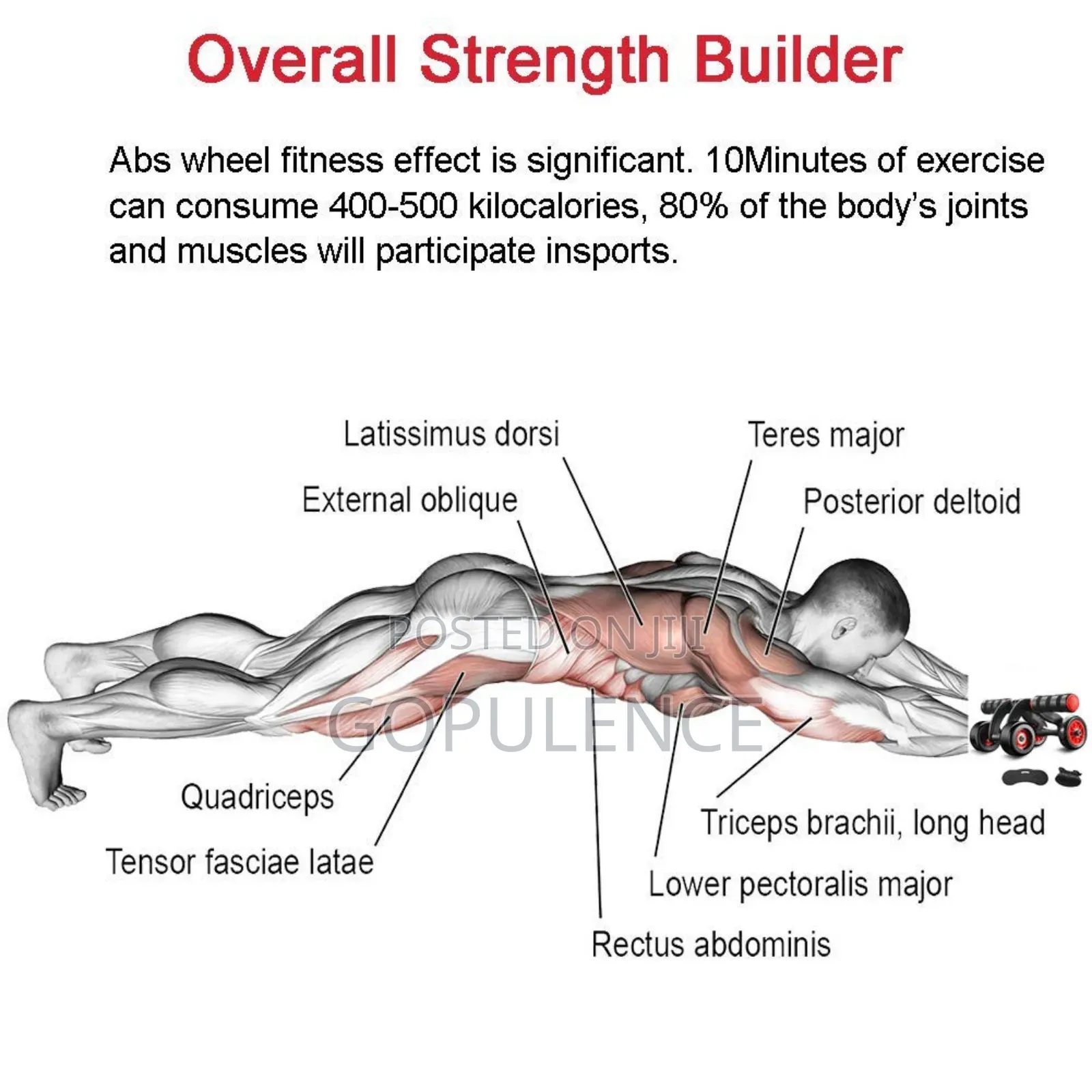 Automatic Rebound Abs Roller