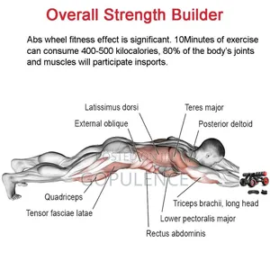 Automatic Rebound Abs Roller