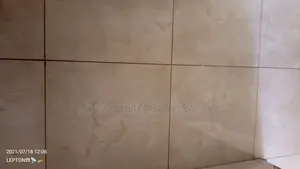 Xmas Offer!!Tile Masters/Experts in Uganda