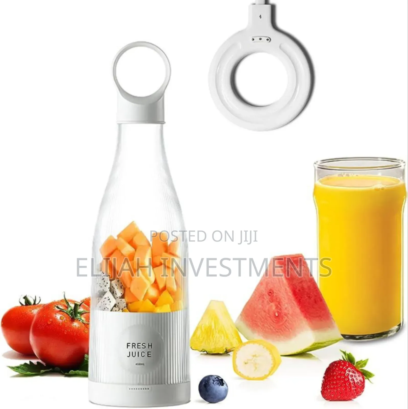 Mini Portable Juicer