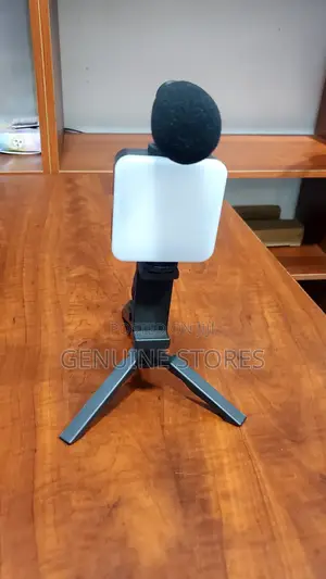 Phone Portable Microphone With a Phone Holder.