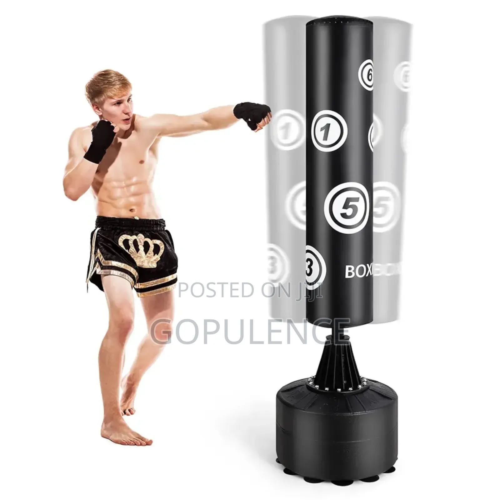 Stationary Punching Bag