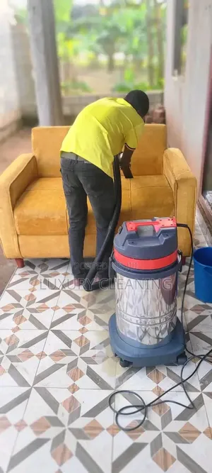 Professional Sofa Detailed Cleaning