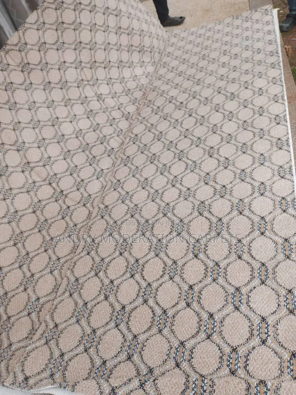 Legita Wall to Wall Woolen Carpets