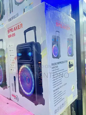 NDR-Q15 Rechargeable Speaker +1wireless Mic