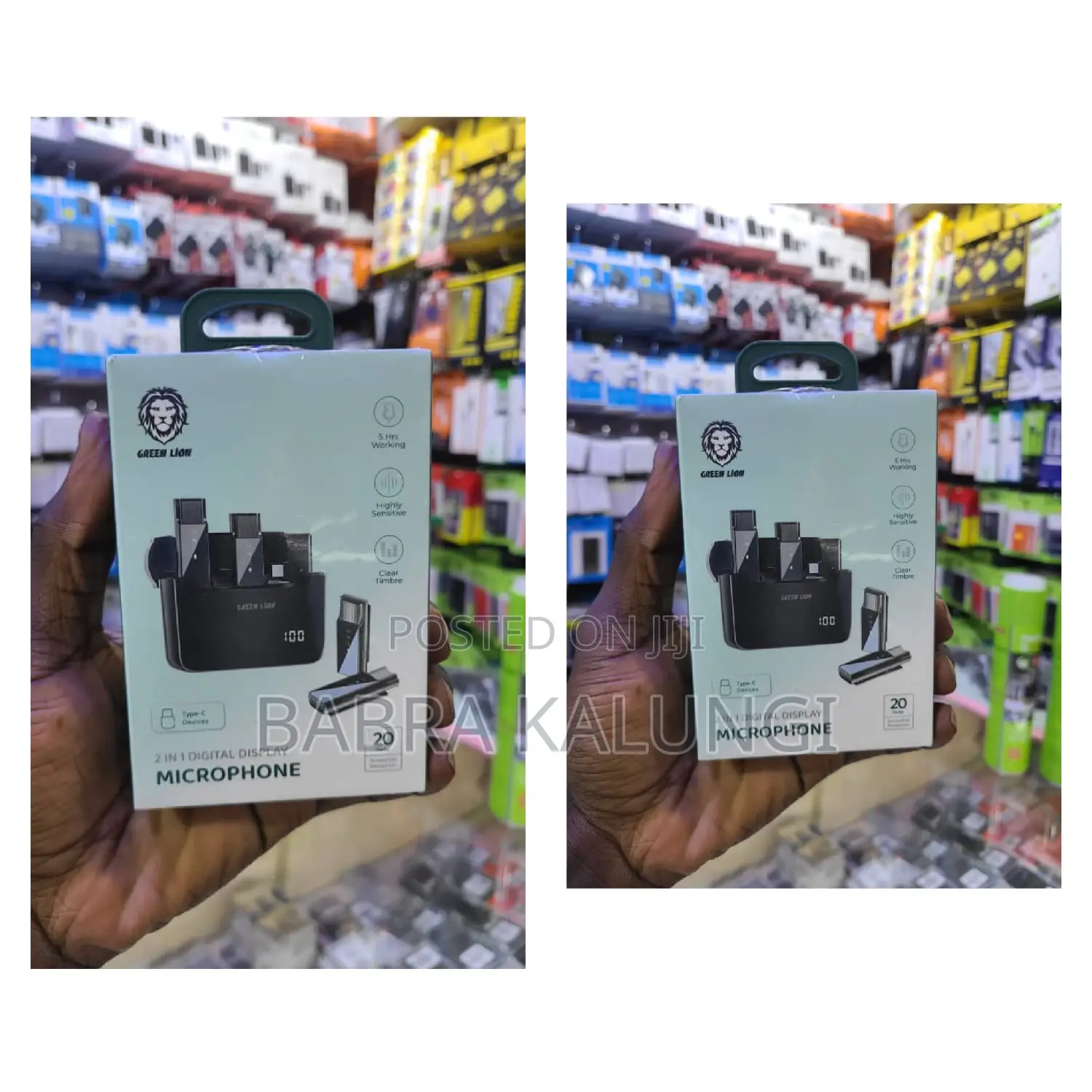 Green Lion Wireless Mic