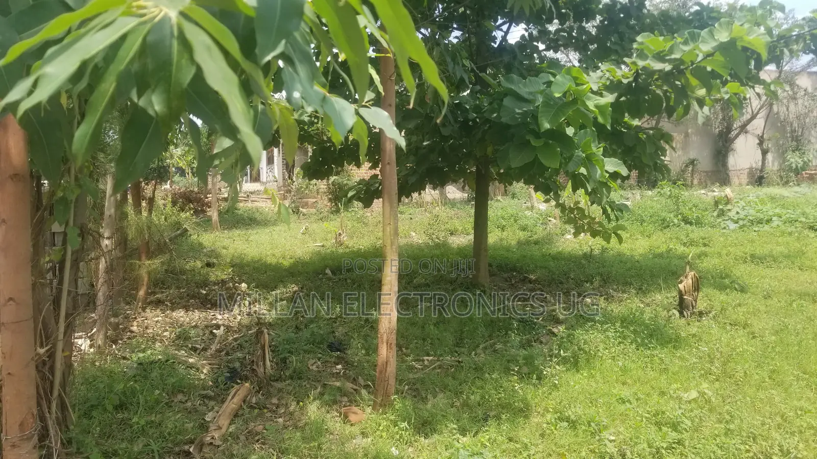 21.2 Dec. Land for Sale in Buwambo