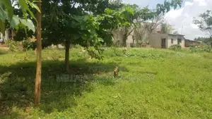 21.2 Dec. Land for Sale in Buwambo