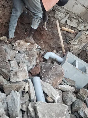 Biodigester You Want