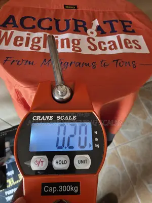 Photo - GST Rate Crane Weighing Scale