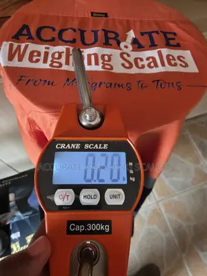 Photo - Depot Crane Weighing Scale
