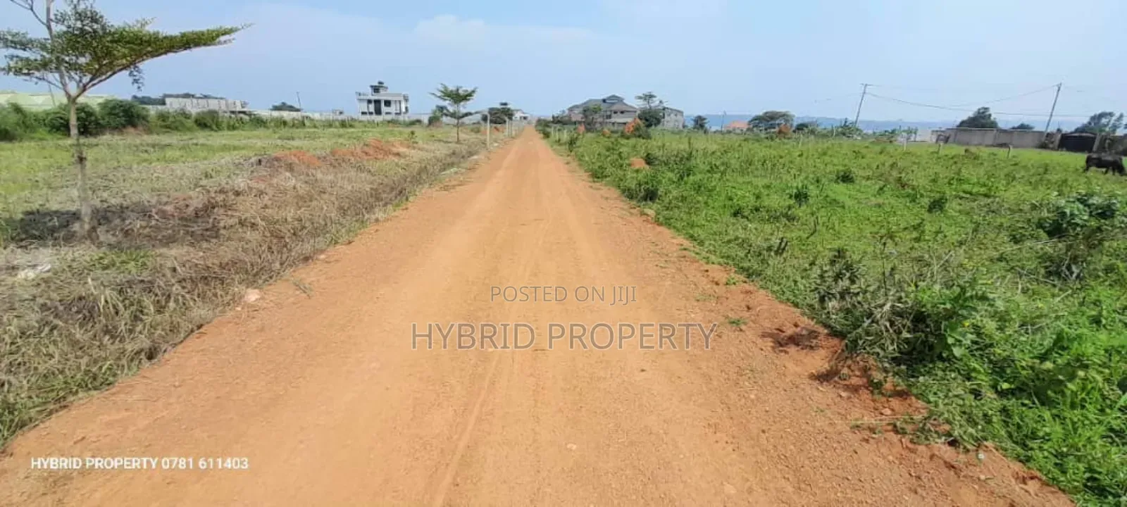 Prime Plots for Sale at Bwerenga Diplomatic Lakeview Estate.