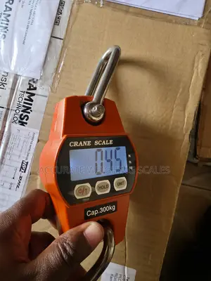Photo - At Target Crane Weighing Scale