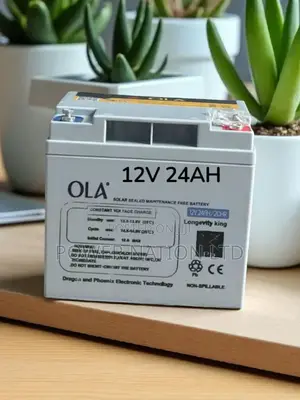 24ah Ola Heavy Duty Battery