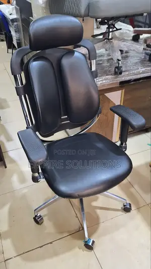 Genuine Orthopedic Office Chair
