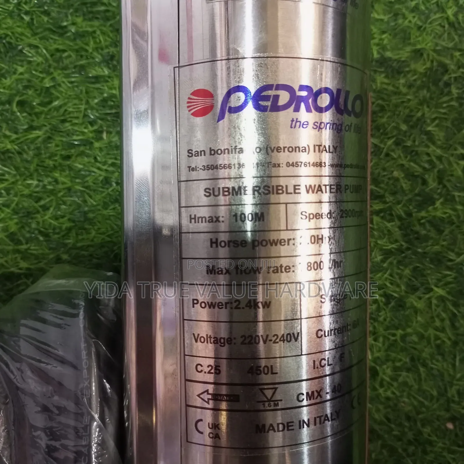 Water Pump 100m Pedrollo