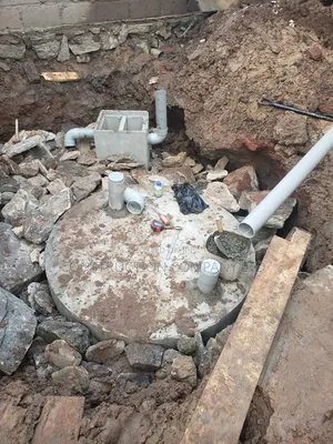 Biodigester and Enzymophic System